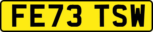 FE73TSW