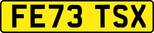 FE73TSX
