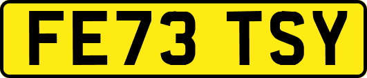FE73TSY