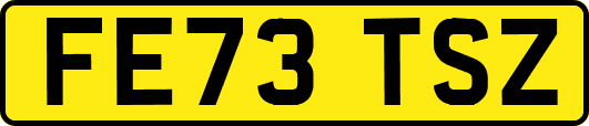 FE73TSZ