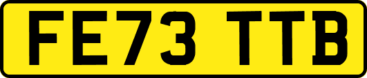 FE73TTB