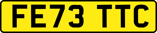 FE73TTC