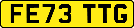 FE73TTG