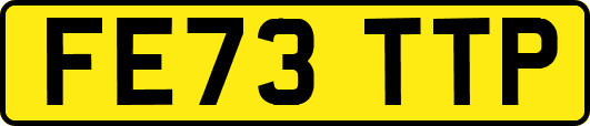 FE73TTP