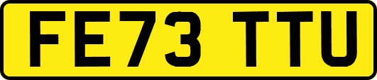 FE73TTU