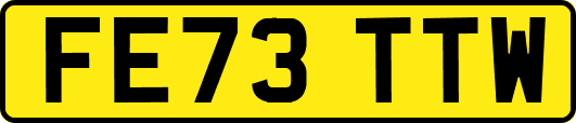 FE73TTW