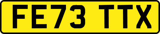 FE73TTX