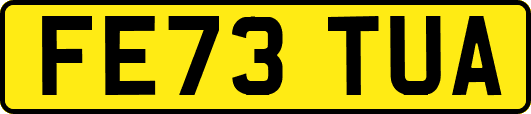 FE73TUA