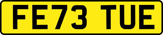 FE73TUE
