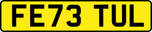 FE73TUL