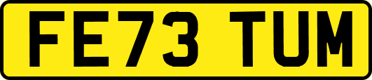 FE73TUM