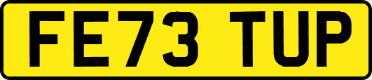 FE73TUP