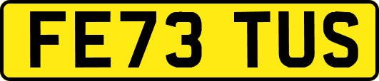 FE73TUS