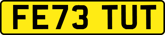 FE73TUT