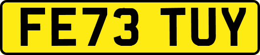 FE73TUY