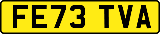 FE73TVA