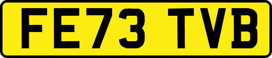 FE73TVB