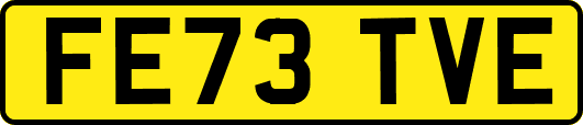 FE73TVE
