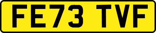 FE73TVF