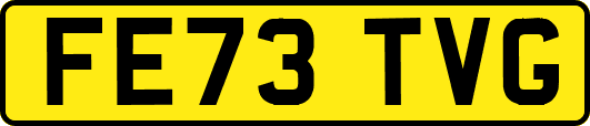 FE73TVG