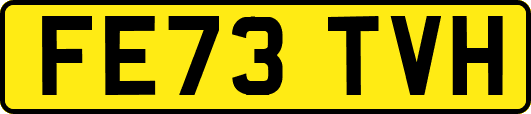 FE73TVH