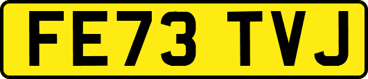 FE73TVJ