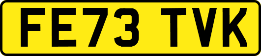 FE73TVK