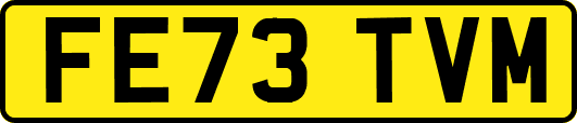 FE73TVM