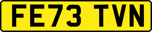 FE73TVN
