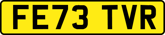 FE73TVR