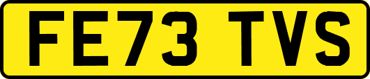 FE73TVS