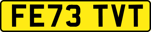 FE73TVT