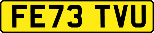 FE73TVU