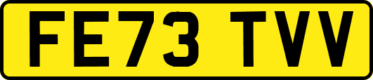 FE73TVV