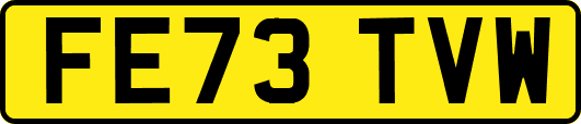 FE73TVW