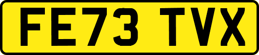 FE73TVX