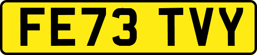 FE73TVY