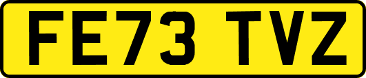 FE73TVZ