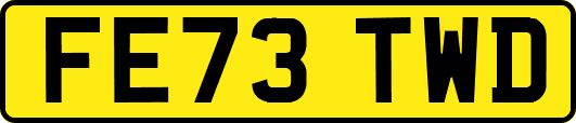 FE73TWD