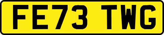 FE73TWG