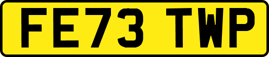 FE73TWP