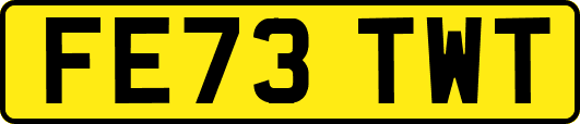 FE73TWT
