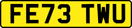 FE73TWU