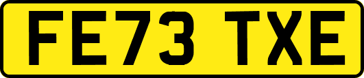 FE73TXE