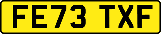 FE73TXF