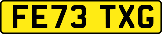 FE73TXG