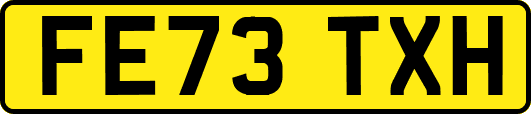 FE73TXH