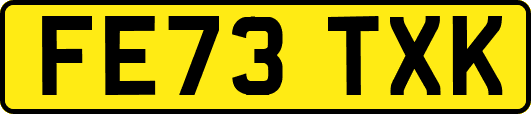FE73TXK