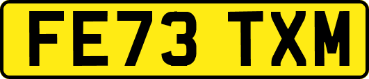 FE73TXM