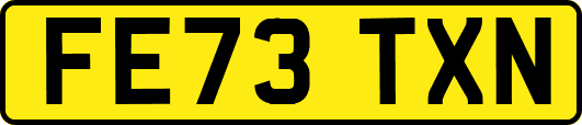 FE73TXN